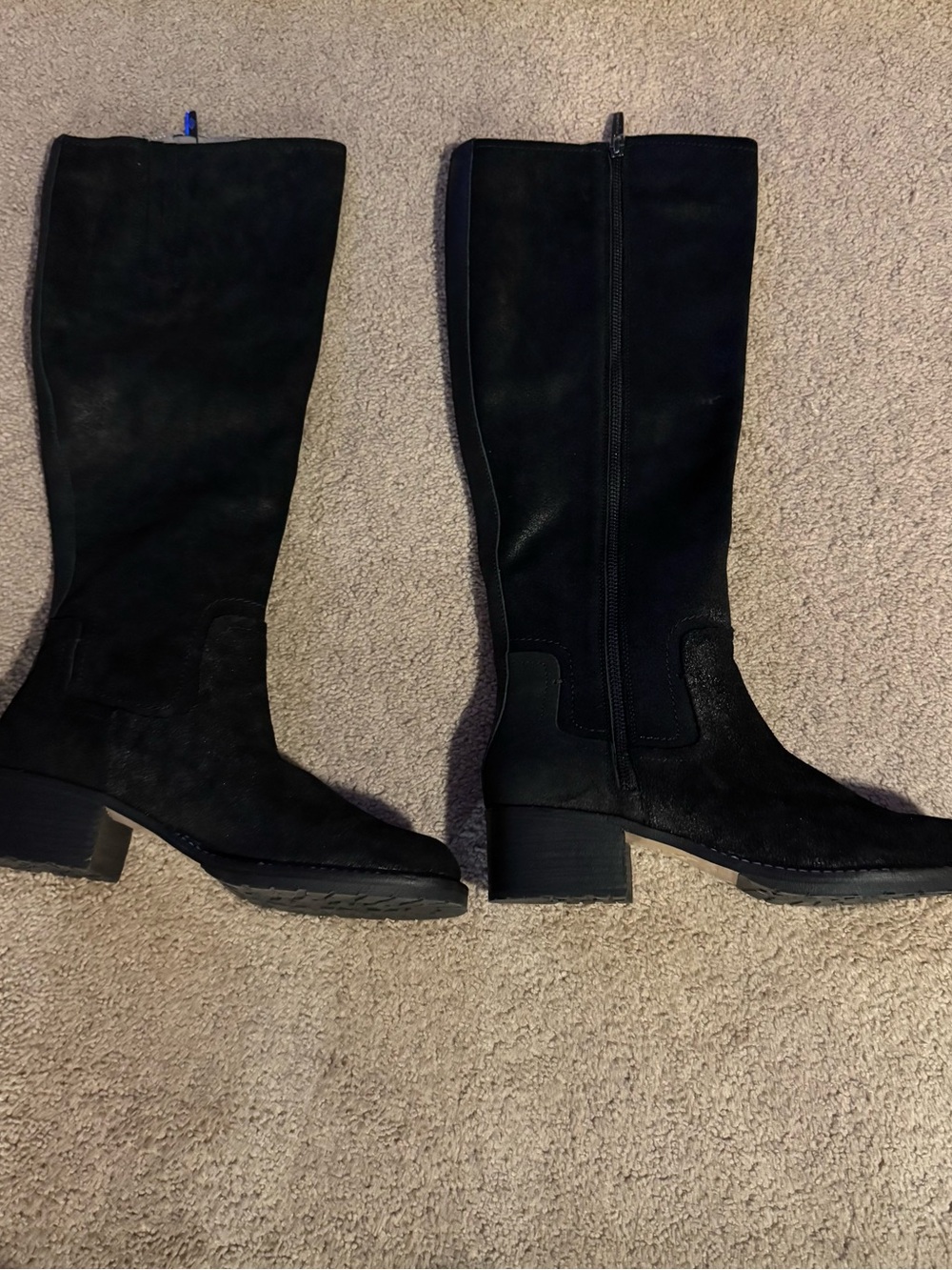 Donald Pliner Women's Philipa Reverse Suede Tall Shaft Boot